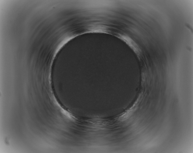 X0000097821331200803141132