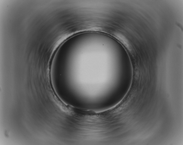 X0000097821332200803141132