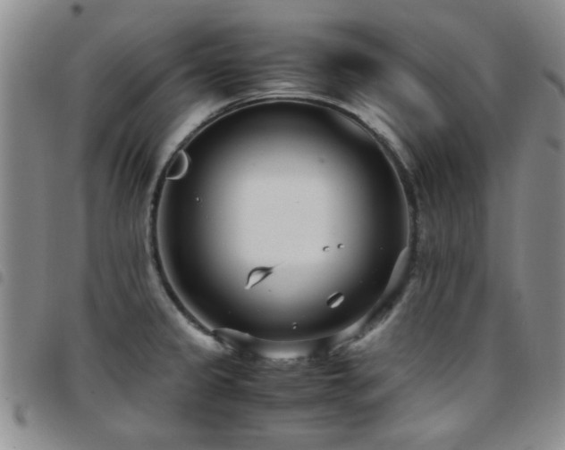 X0000097821333200803141132