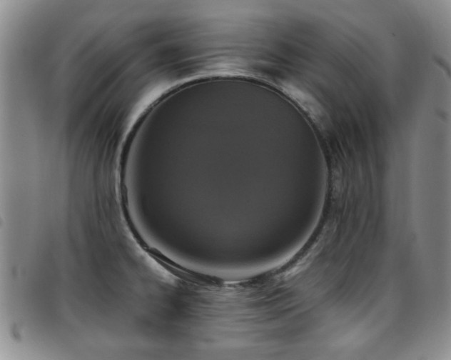 X0000097821334200803141132