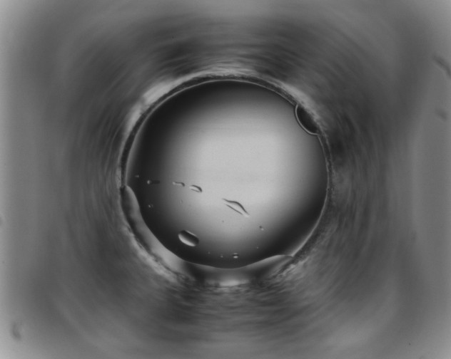 X0000097821335200803141132