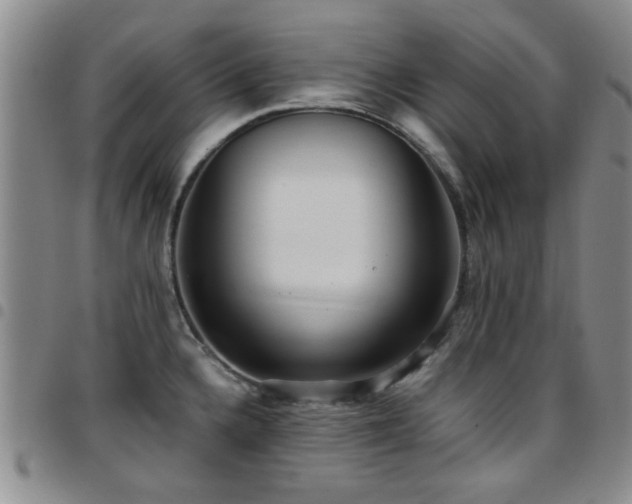 X0000097821336200803141132