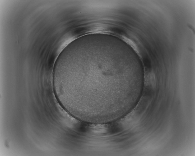 X0000097821338200803141132