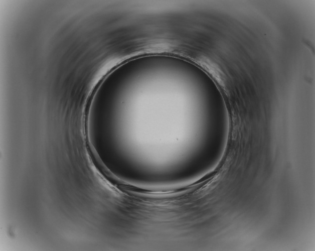 X0000097821342200803141132