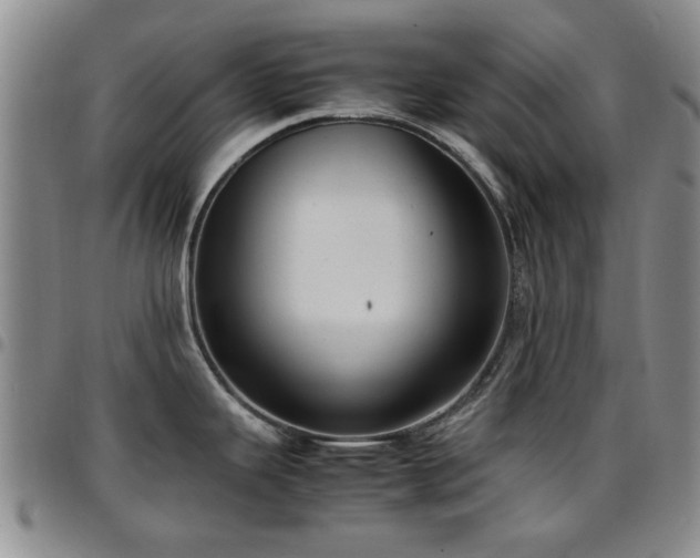 X0000097821343200803141132