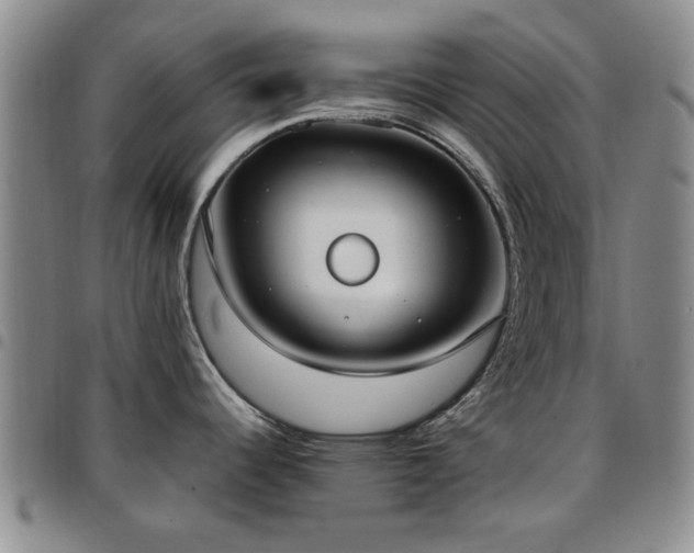 X0000097821344200803141132