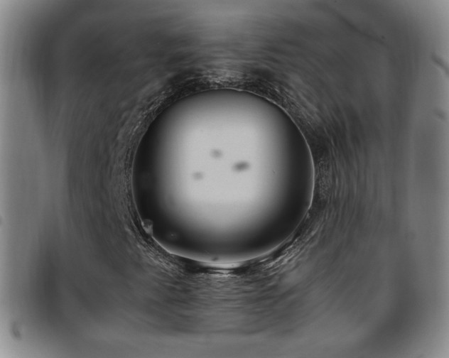 X0000097821345200803141131