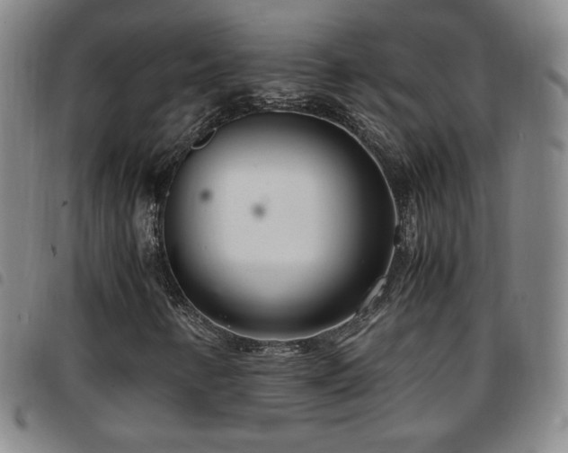 X0000097821346200803141131