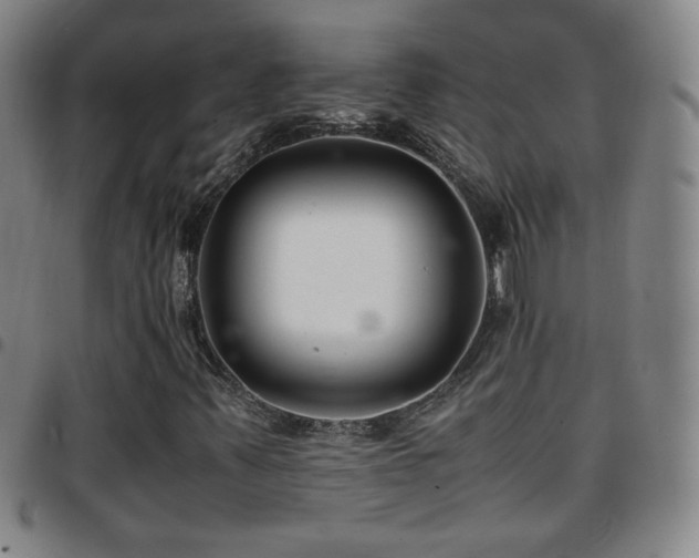 X0000097821347200803141131