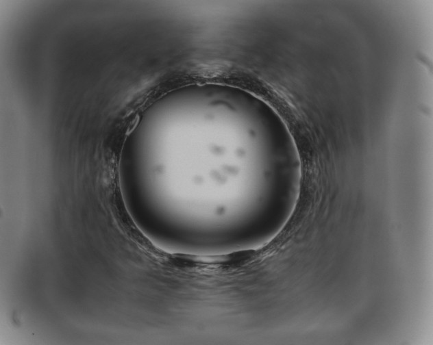 X0000097821349200803141131