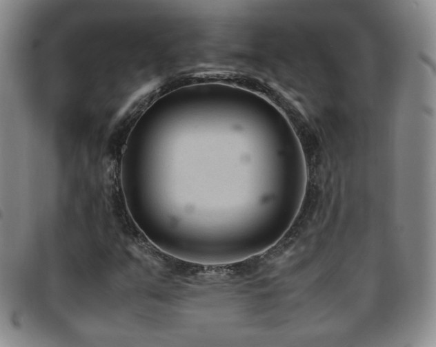 X0000097821351200803141131