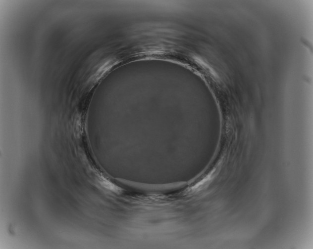 X0000097821353200803141131