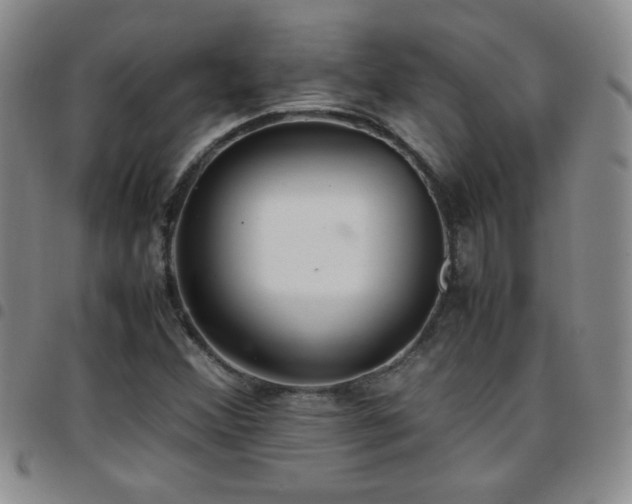 X0000097821356200803141131