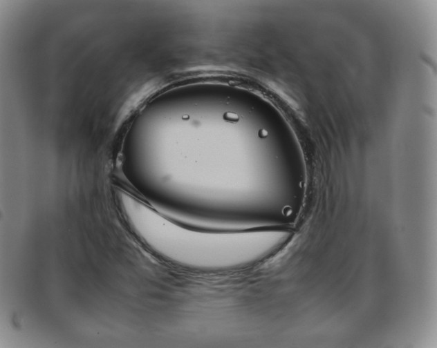 X0000097821357200803141131