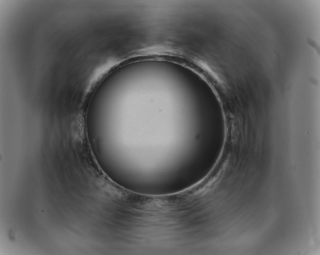 X0000097821358200803141131