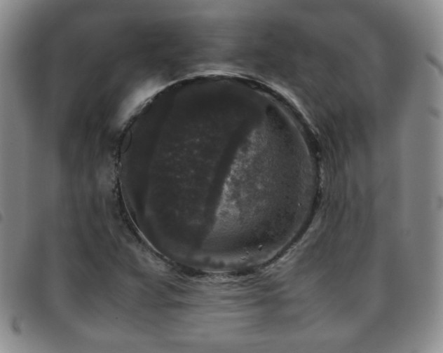 X0000097821359200803141131