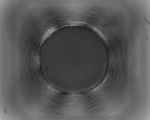 X0000097821362200803141131