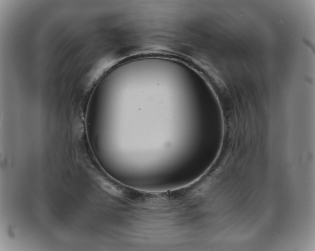 X0000097821363200803141131