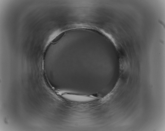 X0000097821365200803141131