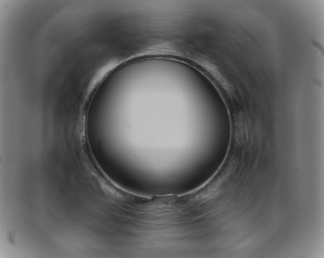 X0000097821366200803141131