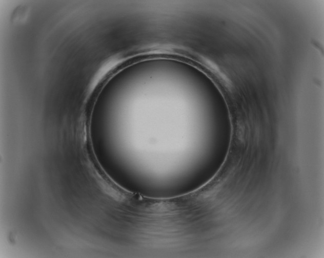 X0000097821368200803141131