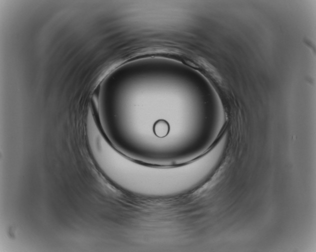 X0000097821369200803141131