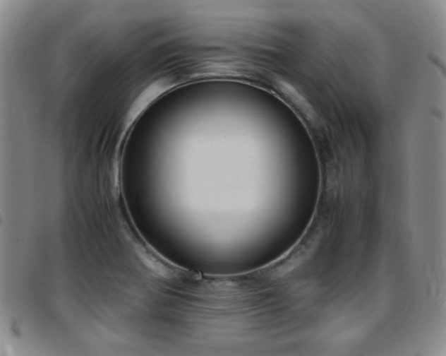 X0000097821370200803141131