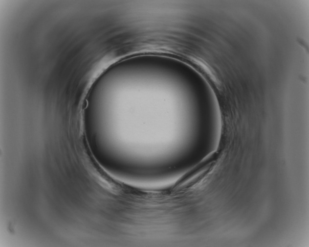 X0000097821371200803141131
