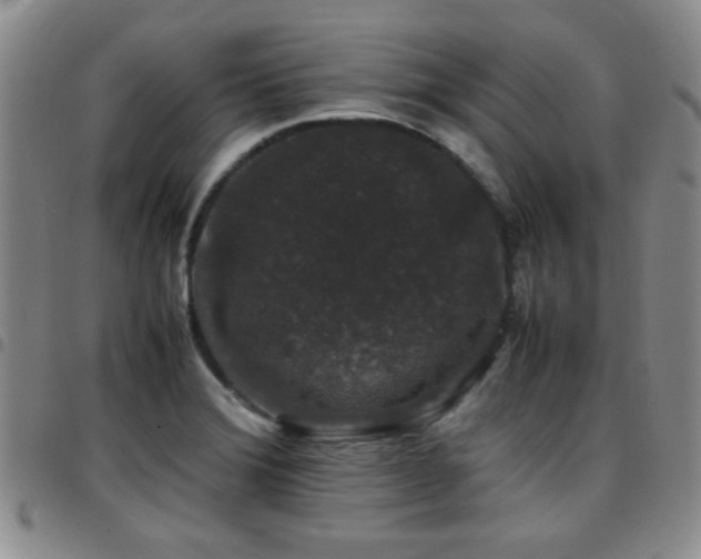 X0000097821372200803141131