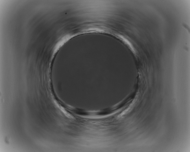 X0000097821373200803141131