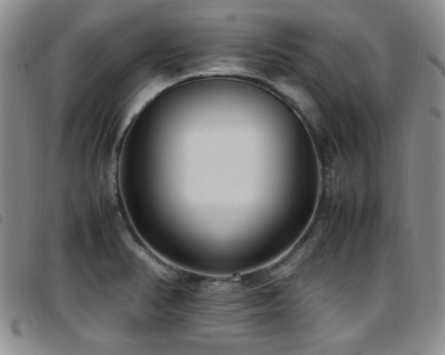 X0000097821374200803141131