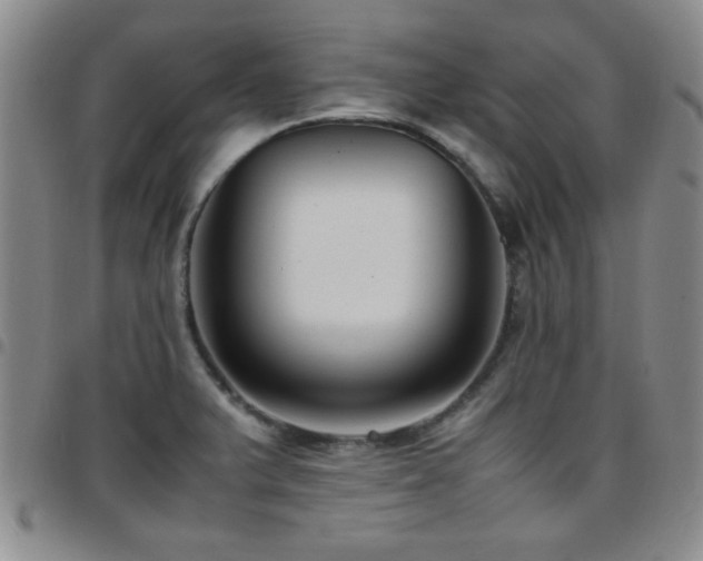 X0000097821375200803141131