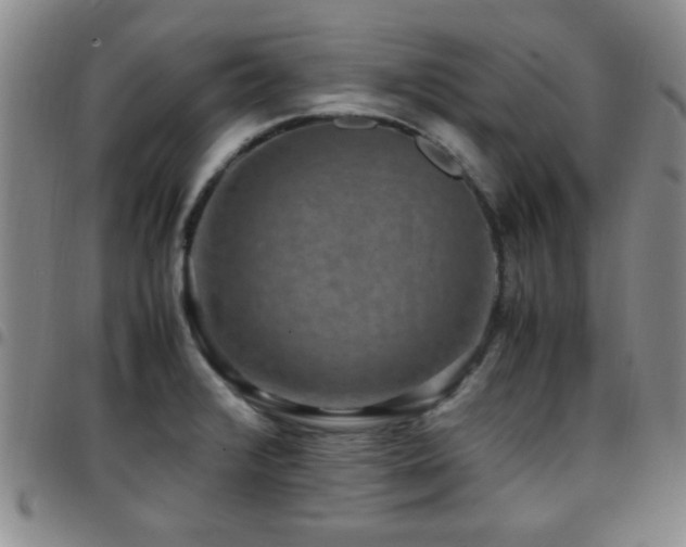 X0000097821376200803141131