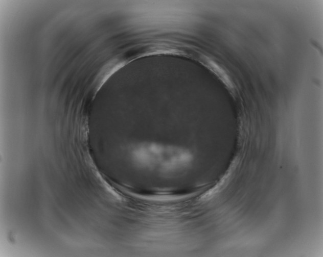 X0000097821377200803141131