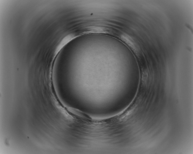 X0000097821378200803141131