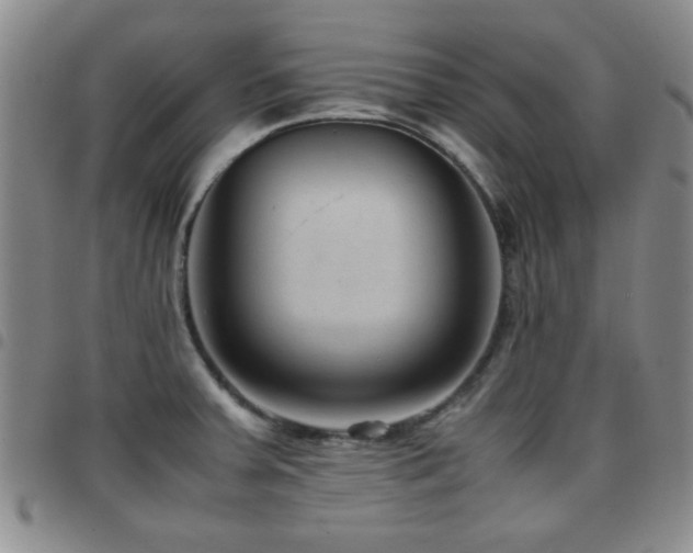 X0000097821379200803141131