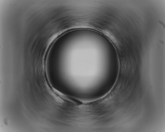 X0000097821380200803141131