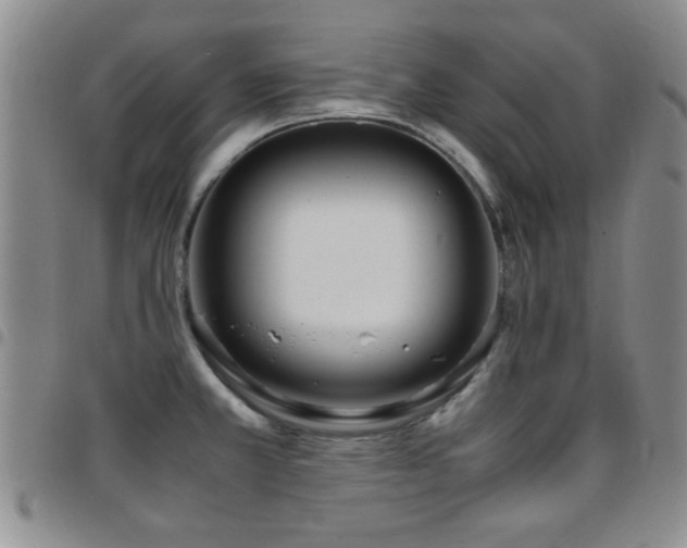 X0000097821381200803141131