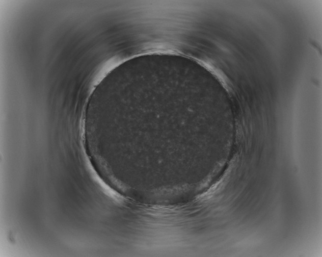 X0000097821383200803141131