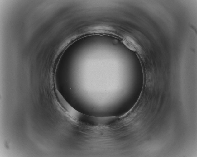 X0000097821384200803141131