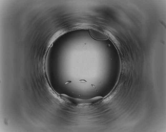 X0000097821386200803141131