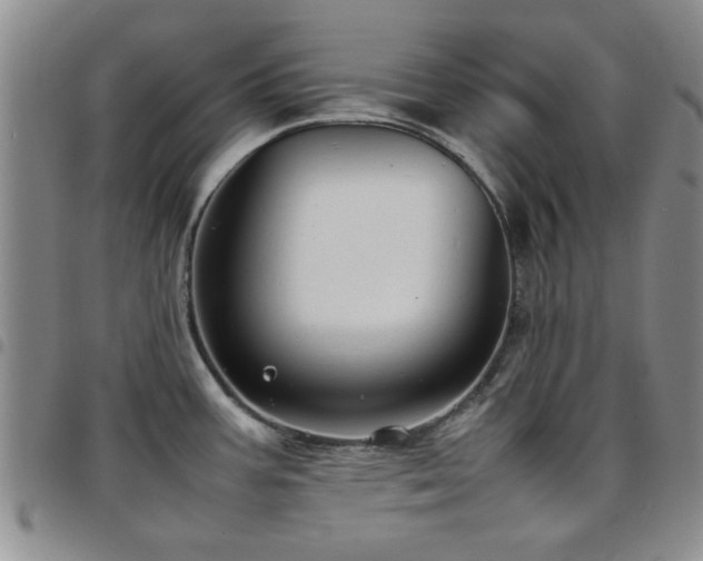 X0000097821387200803141131