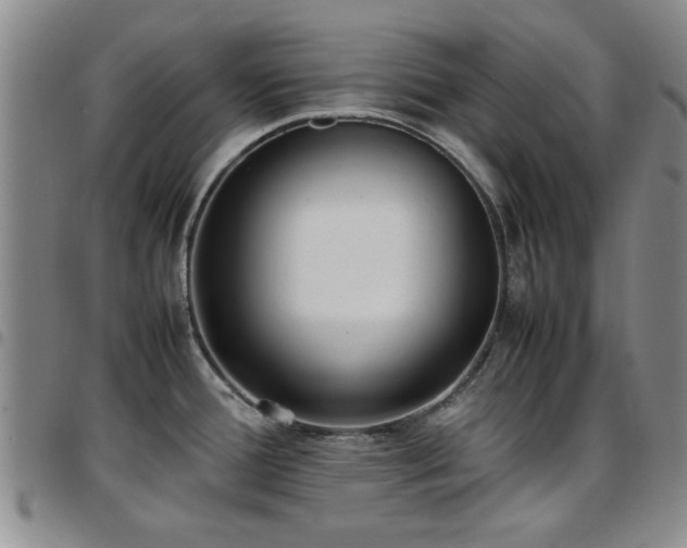 X0000097821388200803141131