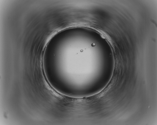 X0000097821390200803141131