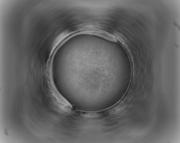 X0000097821392200803141131