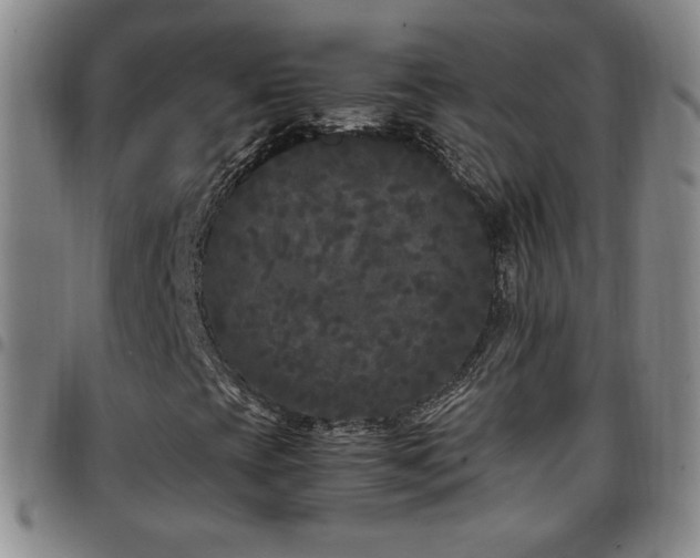 X0000097821393200803141130