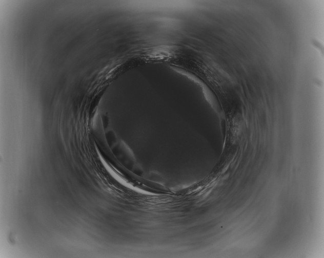 X0000097821394200803141130