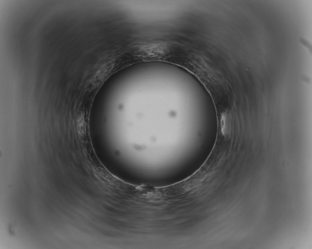 X0000097821395200803141130