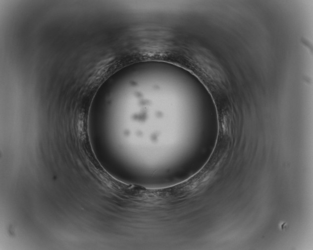 X0000097821396200803141130