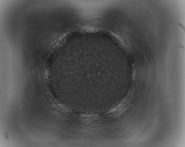 X0000097821397200803141130